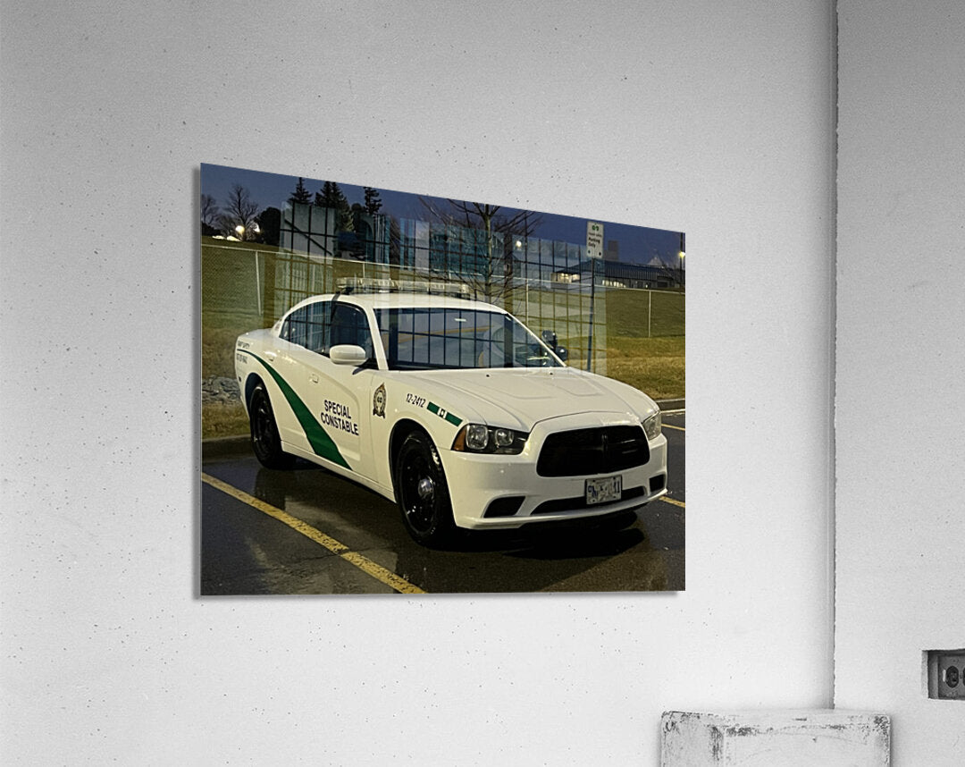 Acrylic Print