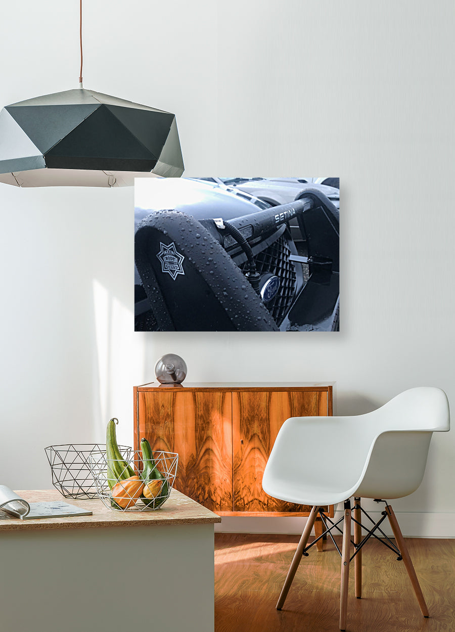 Giclée Stretched Canvas Print