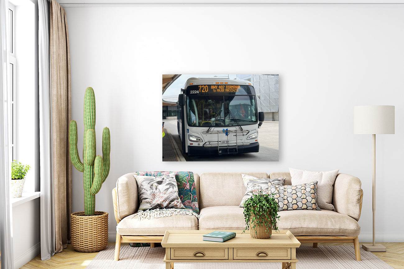 Giclée Stretched Canvas Print