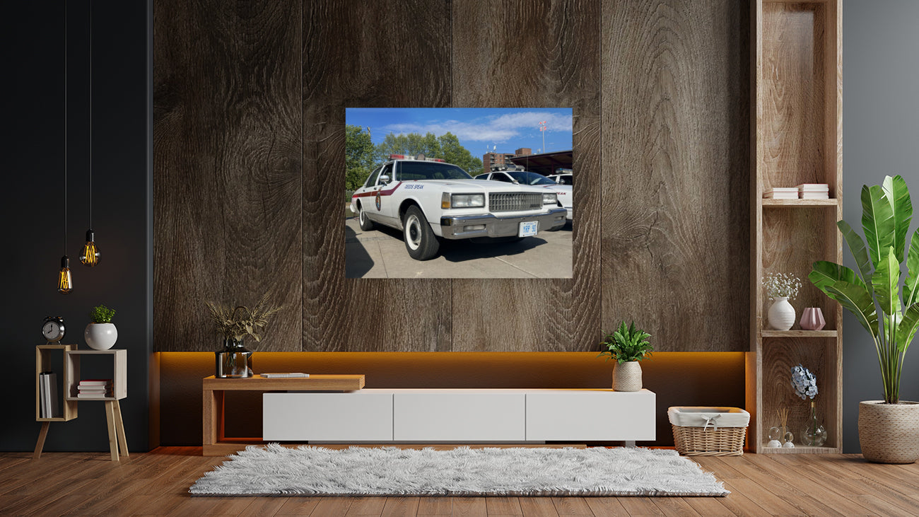 Giclée Stretched Canvas Print