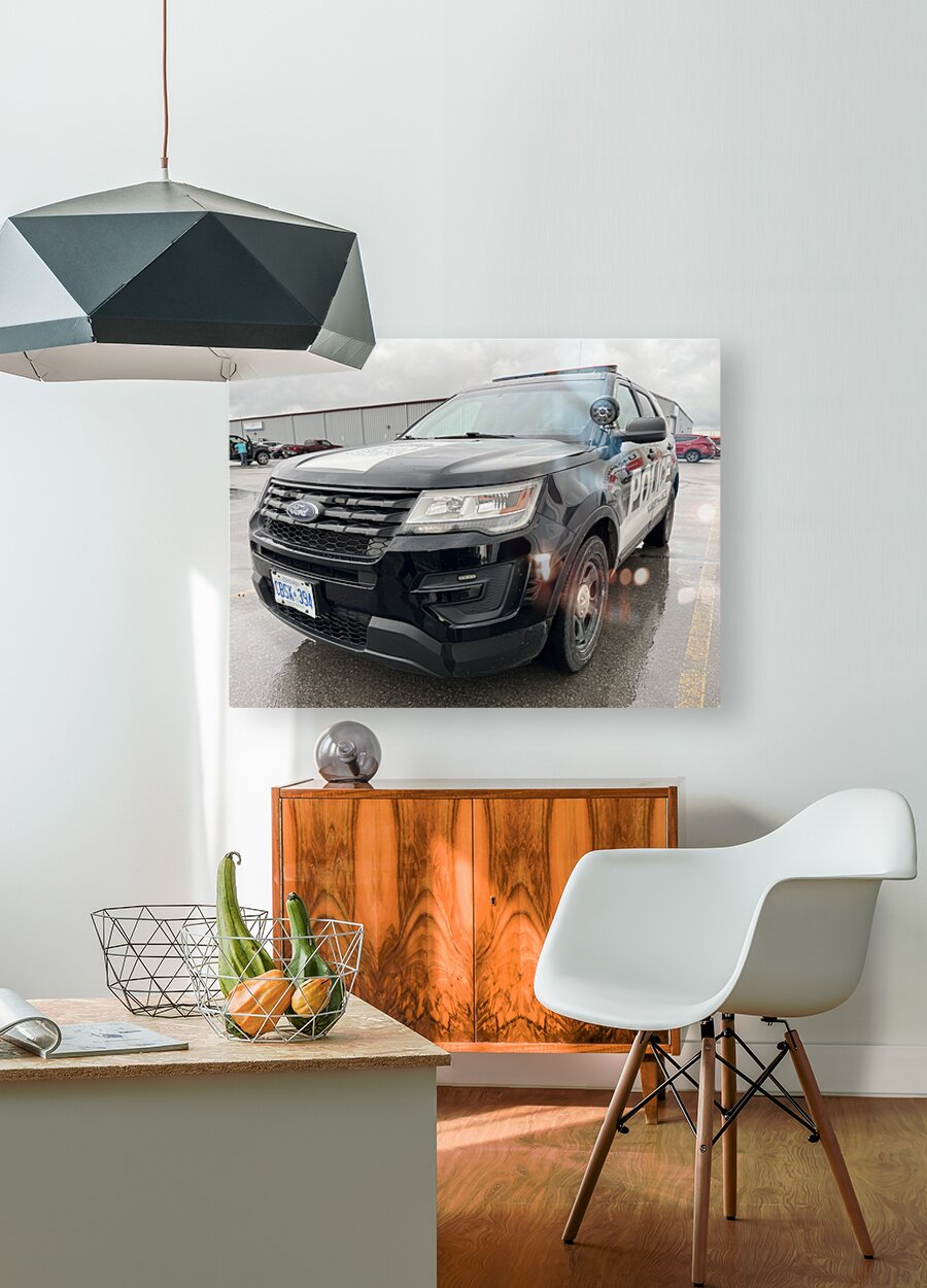 HD Sublimation Metal Print