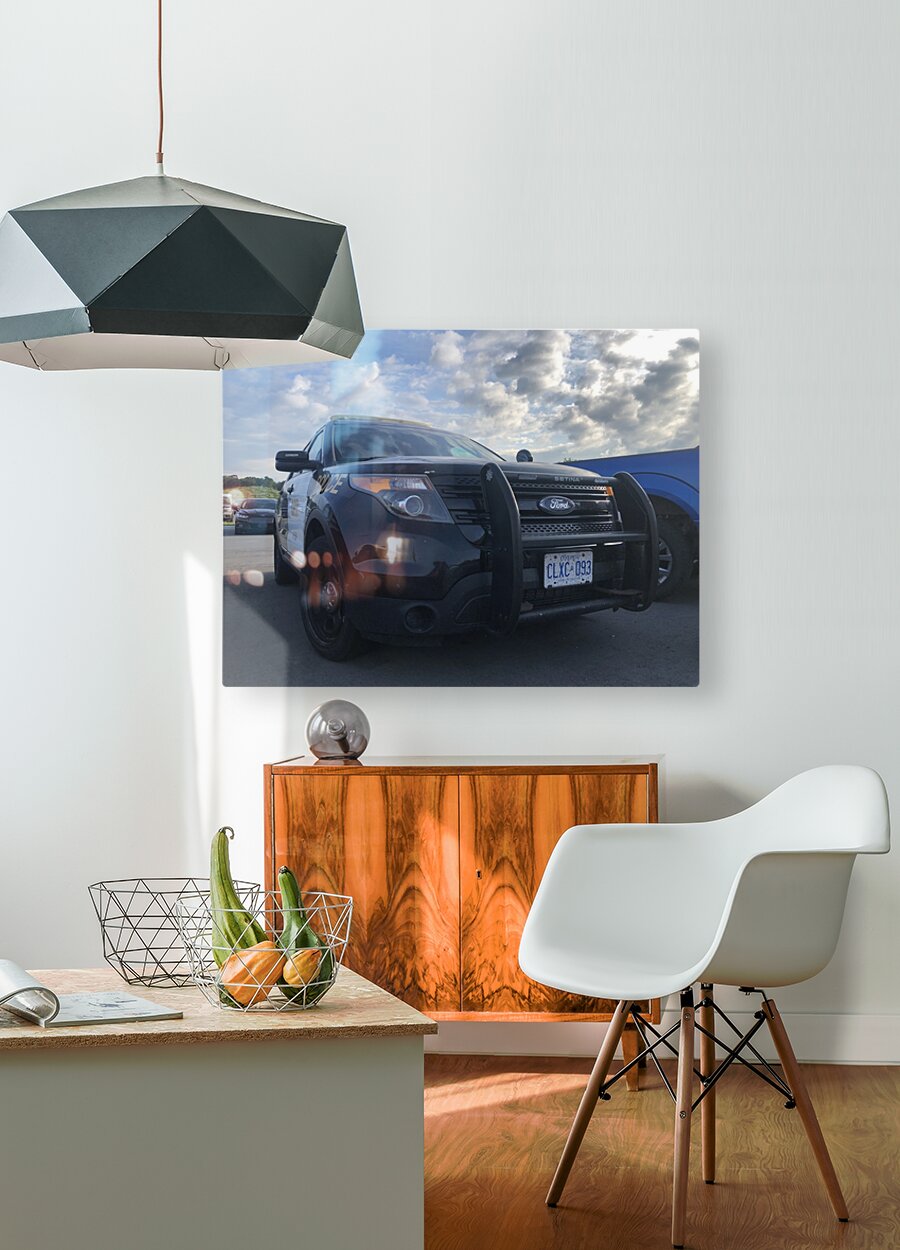 HD Sublimation Metal Print