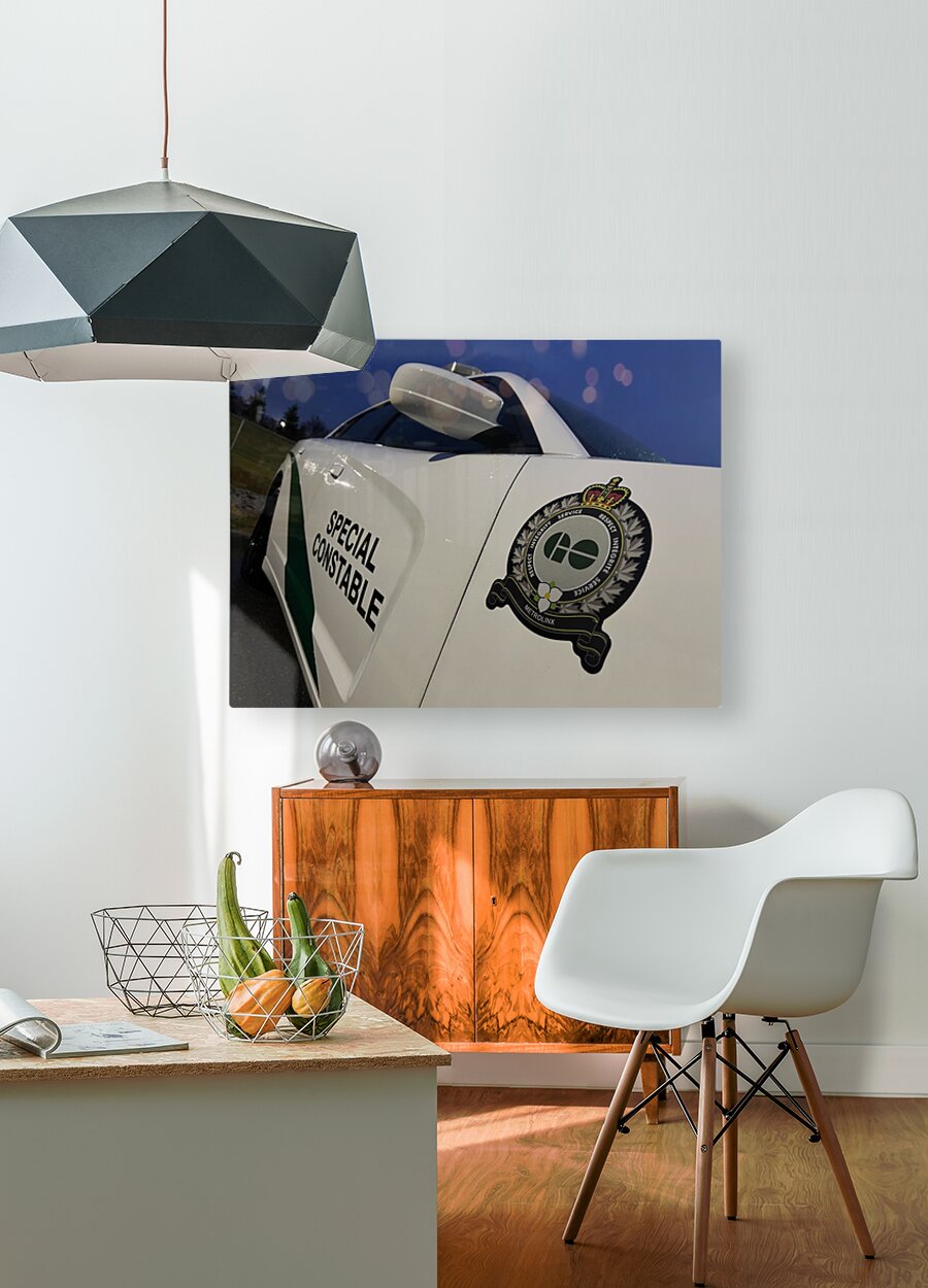 HD Sublimation Metal Print