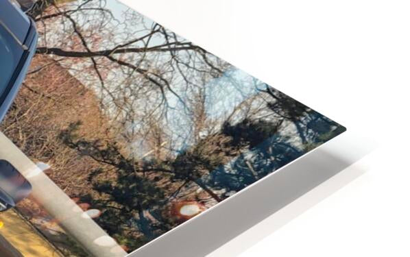 HD Sublimation Metal Print